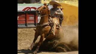 Ay Jalisco no te rajes:  Syntharmony (Arreglo y ejecucion)