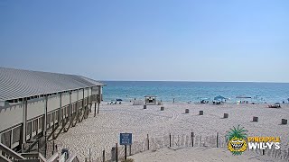 Pineapple Willy's Beach Cam