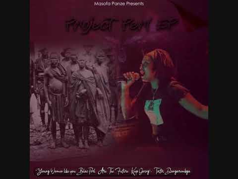 Noble Stylz- Project Perl Interlude