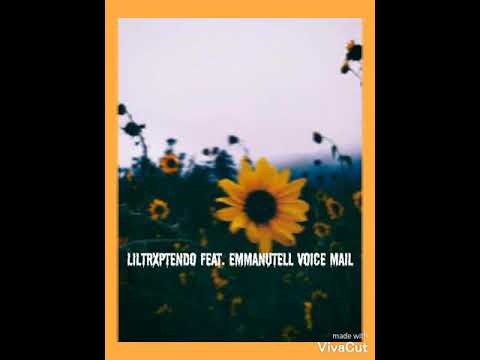 Liltrxptendo feat. Emmanutell Voice Mail