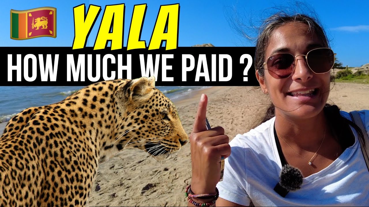 Join travelers on a captivating journey to Yala National Park.