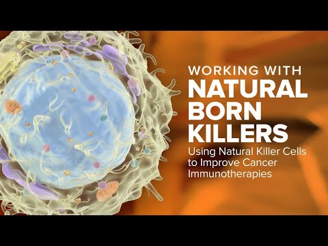 Working with Natural Born Killers: Using Natural Killer Cells to Improve Cancer Immunotherapies