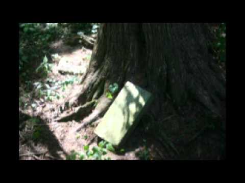 In Search of Pettijohn Cemetery