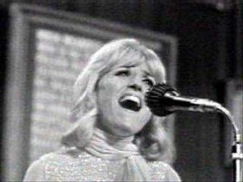 Marjana Deržaj - Poletna noč