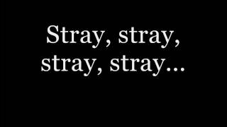 Stray - Steve Conte Lyrics
