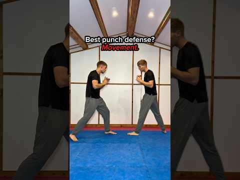 The BEST punch defense?