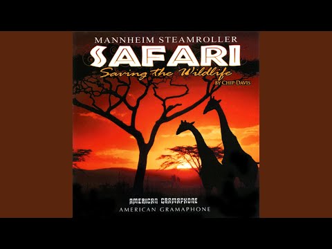 Wolfgang Amaedeus Penguin