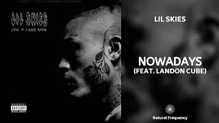 Lil Skies - Nowadays ft. Landon Cube (432Hz)