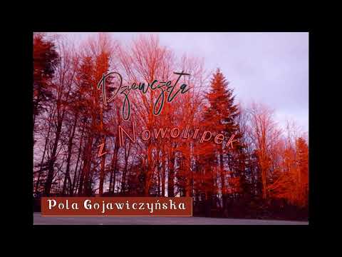 Pola Gojawiczyńska, Dziewczęta z Nowolipek, cz. 1, Nieznanymi ulicami, audiobook PL