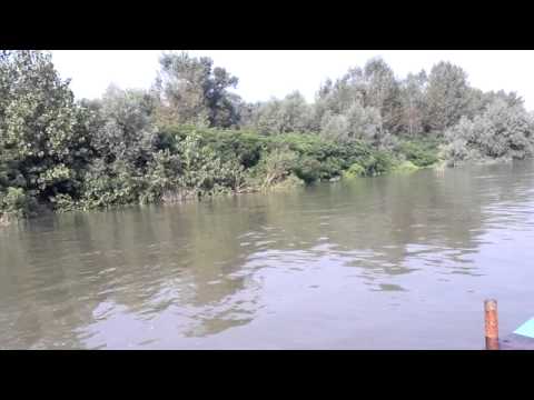 Pe Dunare la Islaz 2014