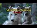 Mengapa Srigala Betina Merawat Anak Nya Sendirian Animasi11