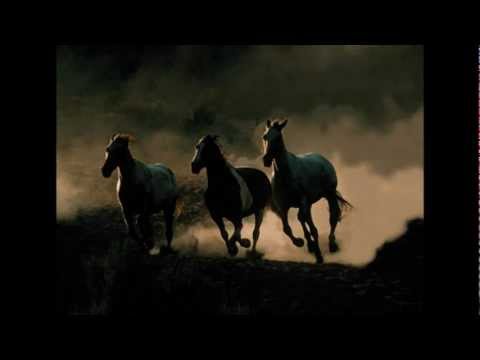 Wild Horses Song Meaning