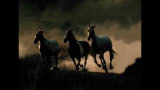 Wild Horses (Garth Brooks) Cover