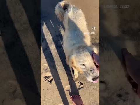 Esto es Rocha #uruguay #rocha #lapedrera