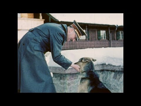 download lagu mp3 mp4 Hitler And His Dog, download lagu Hitler And His Dog gratis, unduh video klip Hitler And His Dog
