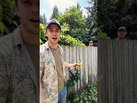 Эффективный кусторез