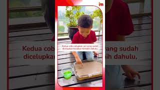 Download lagu Eksperimen Buat Si Kecil Rajin Mencuci Tangan mp3 Download lagu Eksperimen Buat Si Kecil Rajin Mencuci Tangan mp3