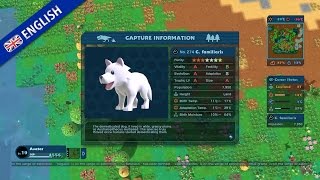 Birthdays the Beginning video 2