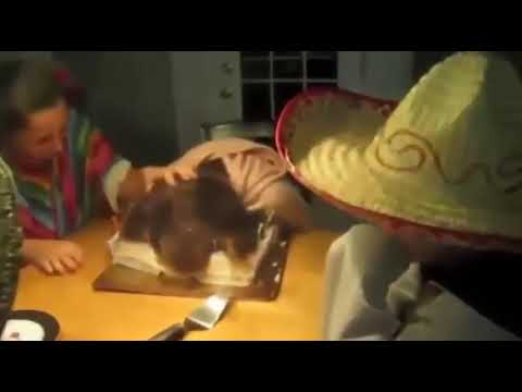 Smash Birthday Cake Compilation 2017