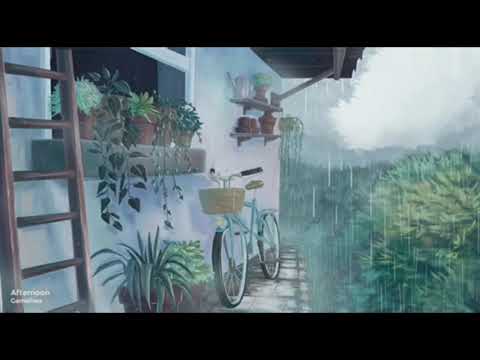 Der Prophet Muhammed (Ahmed von Denffer)