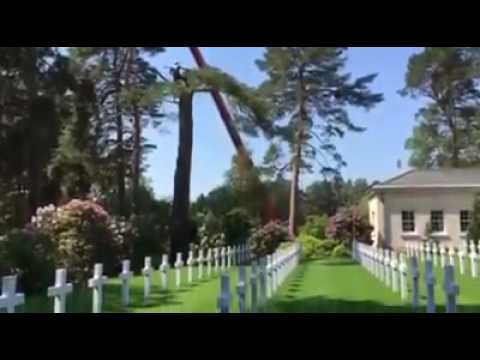 1st Call Trees Limited video.