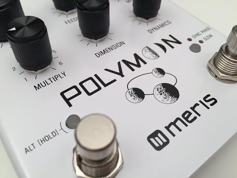 Meris Audio Polymoon Super-Modulated Delay Pedal image 5