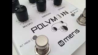 Video thumbnail for Meris - Polymoon (Stereo) by aBunchOfPedals