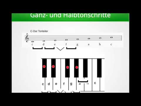 Ganz  und Halbtonschritte in der Musik