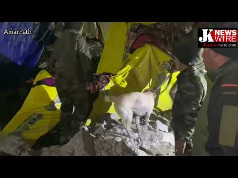 Dog squard of army pressed into service to locate dead and missing Amarnath Pilgrims near Cave.