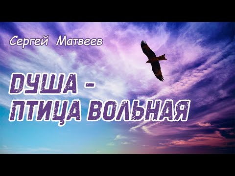 Душа птица вольная - Сергей Матвеев