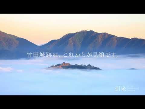 いよいよ雲海シーズン到来！　竹田城跡