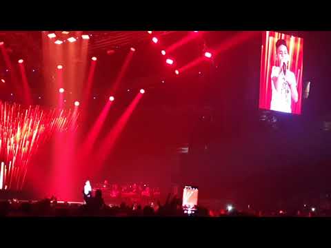 Ljuba Stankovic-Ti si mi u krvi, Arena 23.11.19, SEVERINA koncert