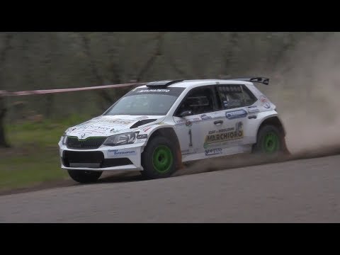 RALLY LIBURNA TERRA 2019 MARCHIORO DALL'OLMO SKODA FABIA R5