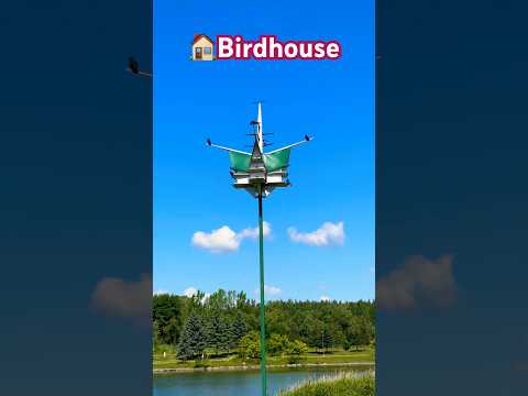 鳥の好きな色は何ですか?巣箱に使うのはどれでしょうか？羽の生えた鳥を惹きつける7つの色合いをご紹介します。  庭園