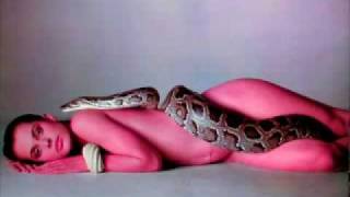 Game Theory, Dripping With Looks (audio only) 1987 rough mix