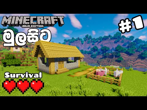 Minecraft Survival Pc Gameplay 1.19 in Sinhala With Shaders for beginners 2023 #1