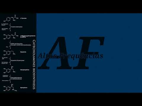 Dopamina, Adrenalina & Noradrenalina (Catecolaminas) [estimular] | Canal: Altas Frequências