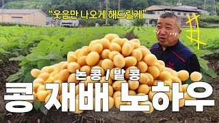다이어트에도-! 건강에도 좋은-! 콩 재배의 모든 비법 레시피 대공개-!