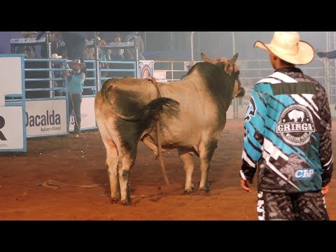 RODEIO OURINHOS-SP(FAPI) 2017 - Semi-final e Disputa Final