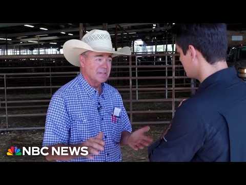 Trump's beef imports face backlash from Texas cattle ranchers