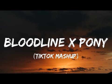 Ariana Grande, Ginuwine - Bloodline X Pony (Lyrics) [TikTok Mashup]