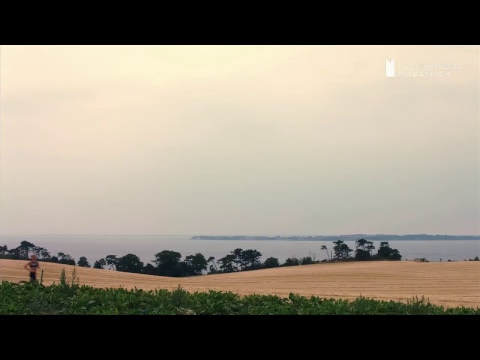 Livestream från Helsingborg Marathon 2018