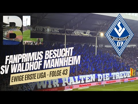 🏆WALDHOF MANNHEIM vs Hansa Rostock / Folge 43 / EwigeErsteLiga… / FANPRIMUS Stadionvlogs