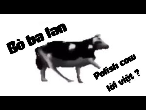 Bò Ba Lan - Polish Cow Vietsub -