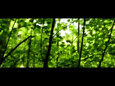 The Practice Roomz video.