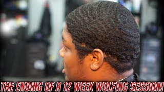 12 Week Wolf Session Comes to an End!