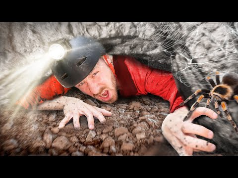 Face your greatest FEAR!