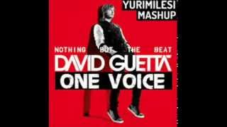 David Guetta feat. Mikky Eko-One voice