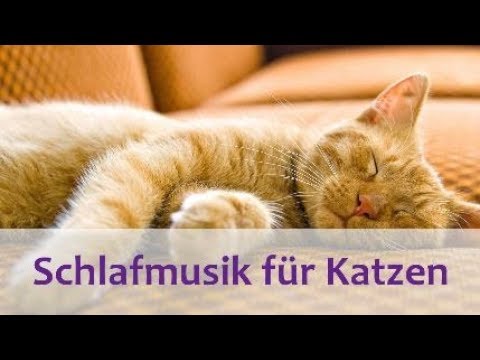 Schlafmusik für Katzen - Entspannende Musik für Katzen und Kätzchen - 2 Stunden.