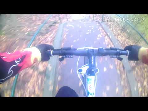 Picykel in Dulov feat. moja sestra, Kubík, LenErik 🤦😃